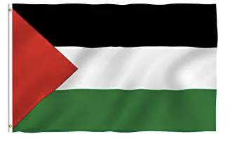 Palestine Flag with Brass Grommets